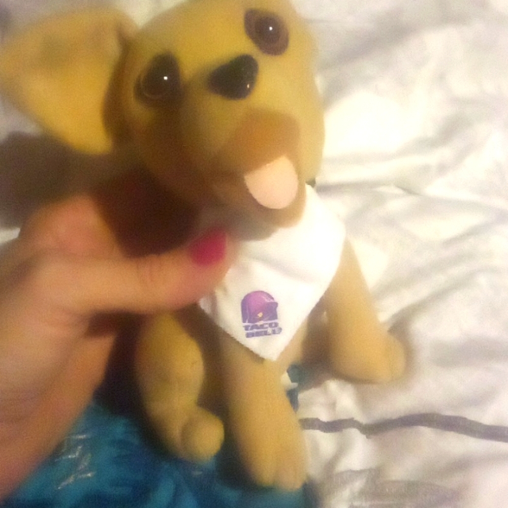 TACOBELL dog